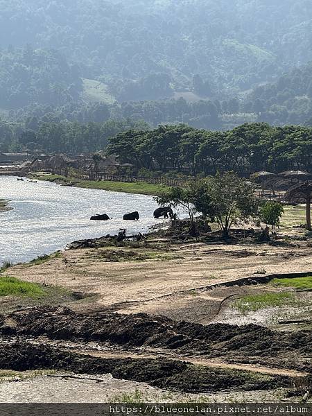 202411月 清邁水燈節&萬人天燈之旅 (總篇)