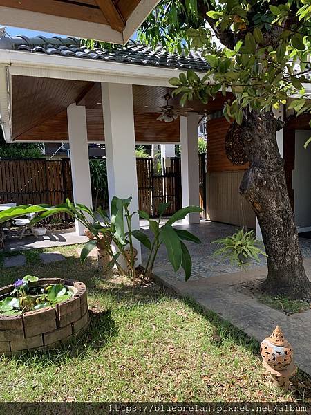 清邁住宿-Celosia Chiang mai เซโลเซ