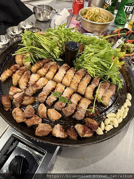 20250521-30 釜山進大阪出跨國渡輪&萬博初體驗(總