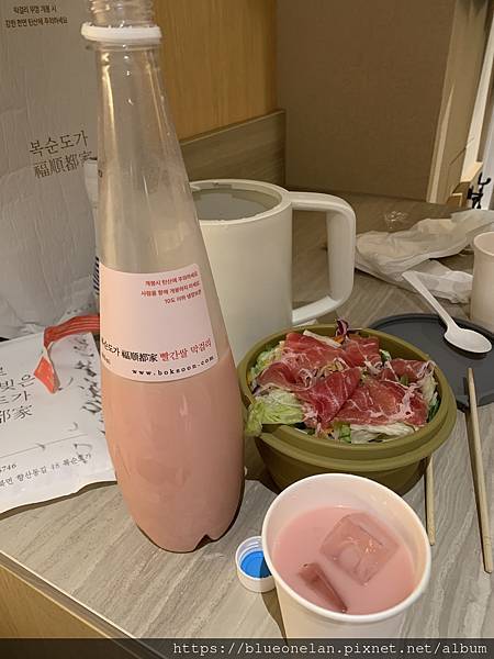 20250521-30 釜山進大阪出跨國渡輪&萬博初體驗(總 20250521-30 釜山進大阪出跨國渡輪&萬博初體驗(總