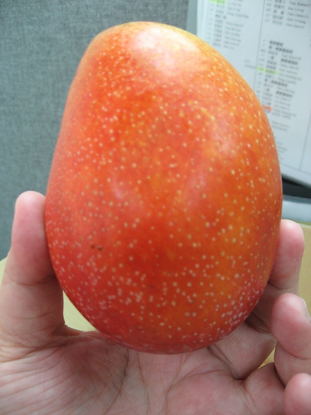 IMG_8628.JPG IMG_8628.JPG