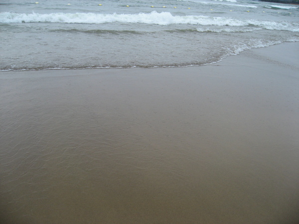 IMG_1871.JPG IMG_1871.JPG