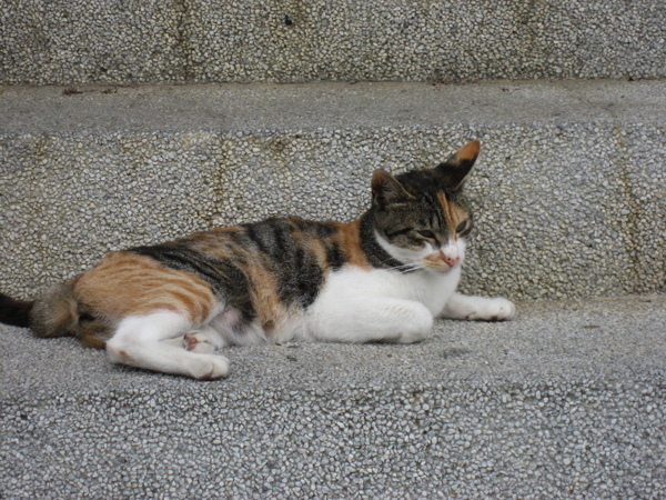 IMG_1876.JPG IMG_1876.JPG