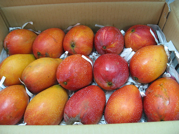 IMG_8625.JPG IMG_8625.JPG