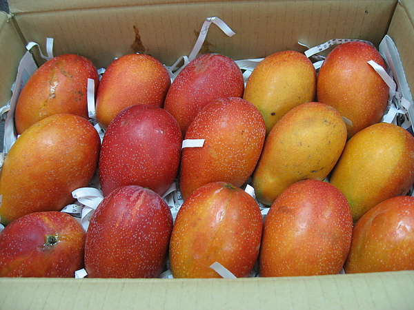 IMG_8626.JPG IMG_8626.JPG