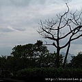 IMG_7372.JPG