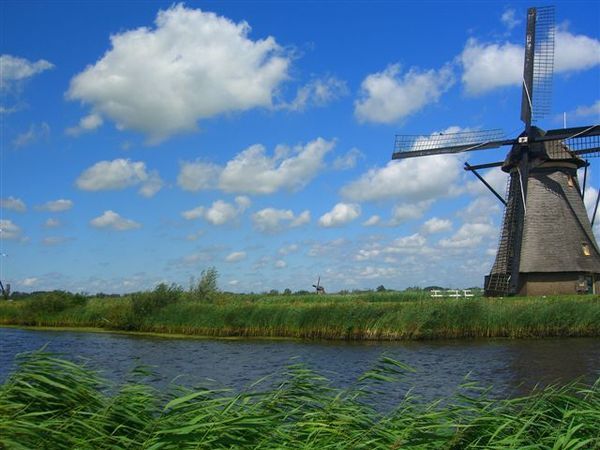 7.27~7.28荷蘭-鹿特丹 kinderdijk 