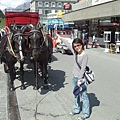 Zermatt 歐洲真的好多馬車，其實馬便挺臭的