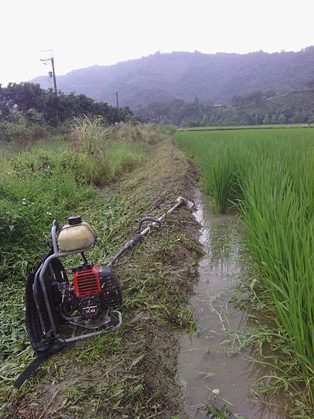 用過割草機後的田梗