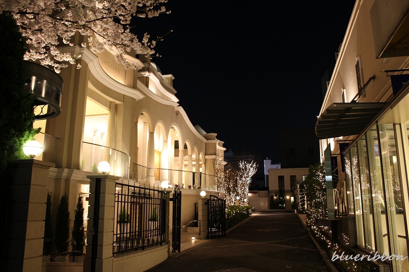 東京散步 表參道anniversaire Cafe 優雅的婚宴會場anniversaire Omotesando 雜記本 痞客邦