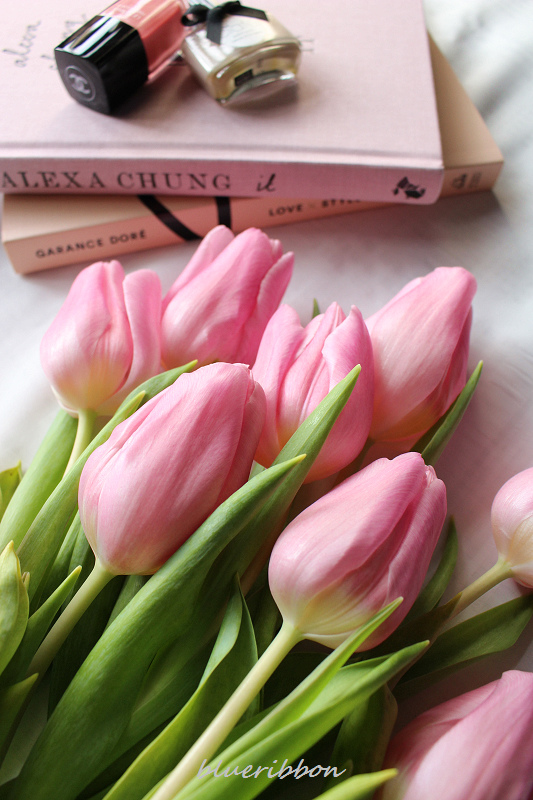 IMG_9669.jpg IMG_9669.jpg