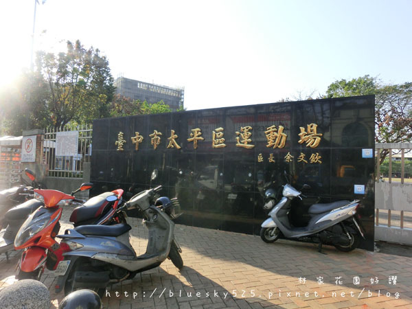 CIMG8332.JPG CIMG8332.JPG