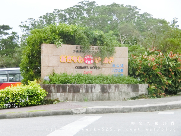 泉001.JPG 泉001.JPG