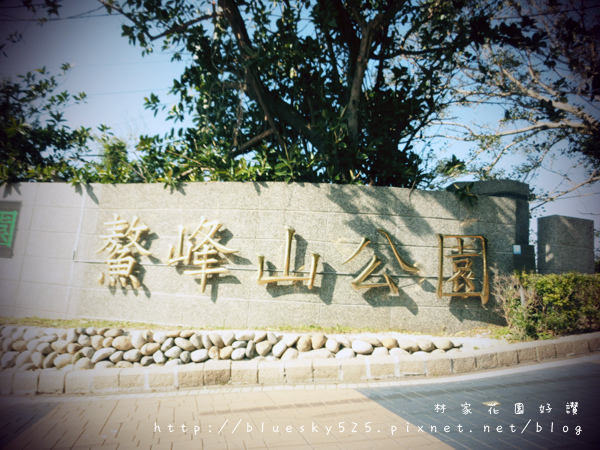 山001.JPG 山001.JPG