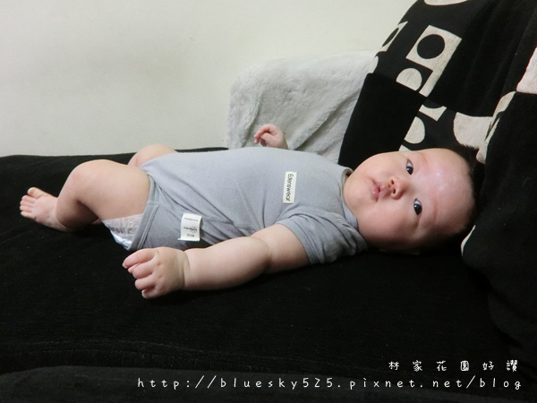 包001.JPG 包001.JPG