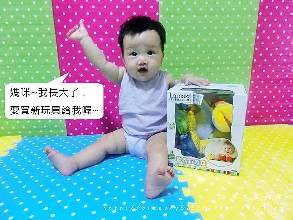 蟲001.JPG 蟲001.JPG