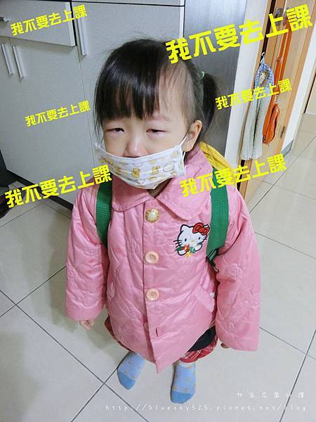 CIMG6389.JPG CIMG6389.JPG