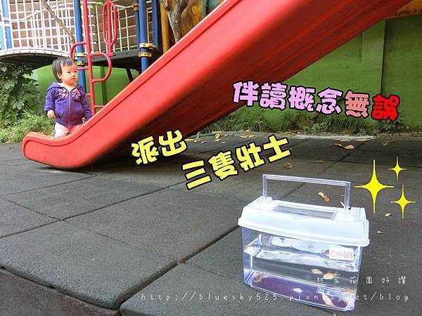 CIMG6462.JPG CIMG6462.JPG