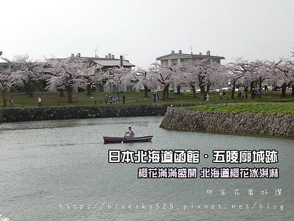 CIMG3500.JPG CIMG3500.JPG