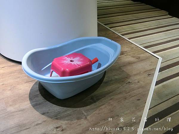 CIMG5509.JPG CIMG5509.JPG