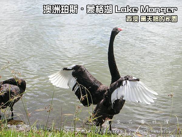 CIMF3320.JPG CIMF3320.JPG