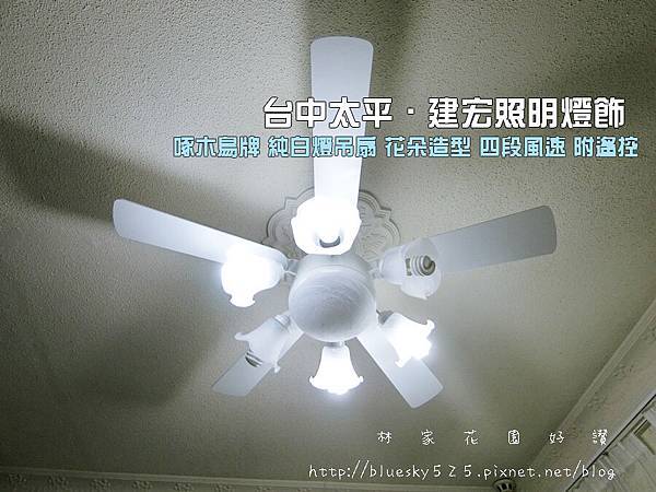 CIMG0100.JPG CIMG0100.JPG