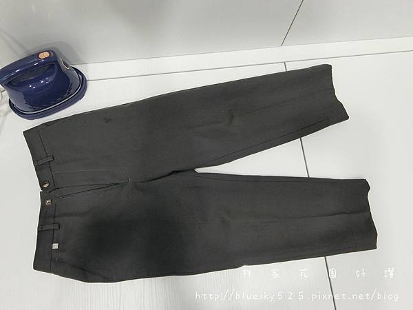 CIMG2976.JPG MSI-PQQ7 2 in1 蒸氣電熨斗