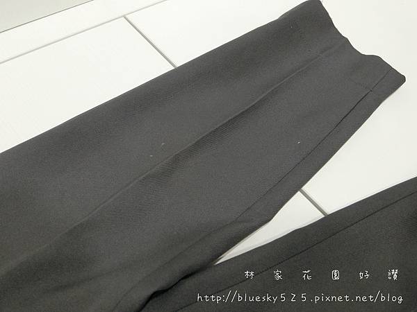 CIMG2997.JPG MSI-PQQ7 2 in1 蒸氣電熨斗