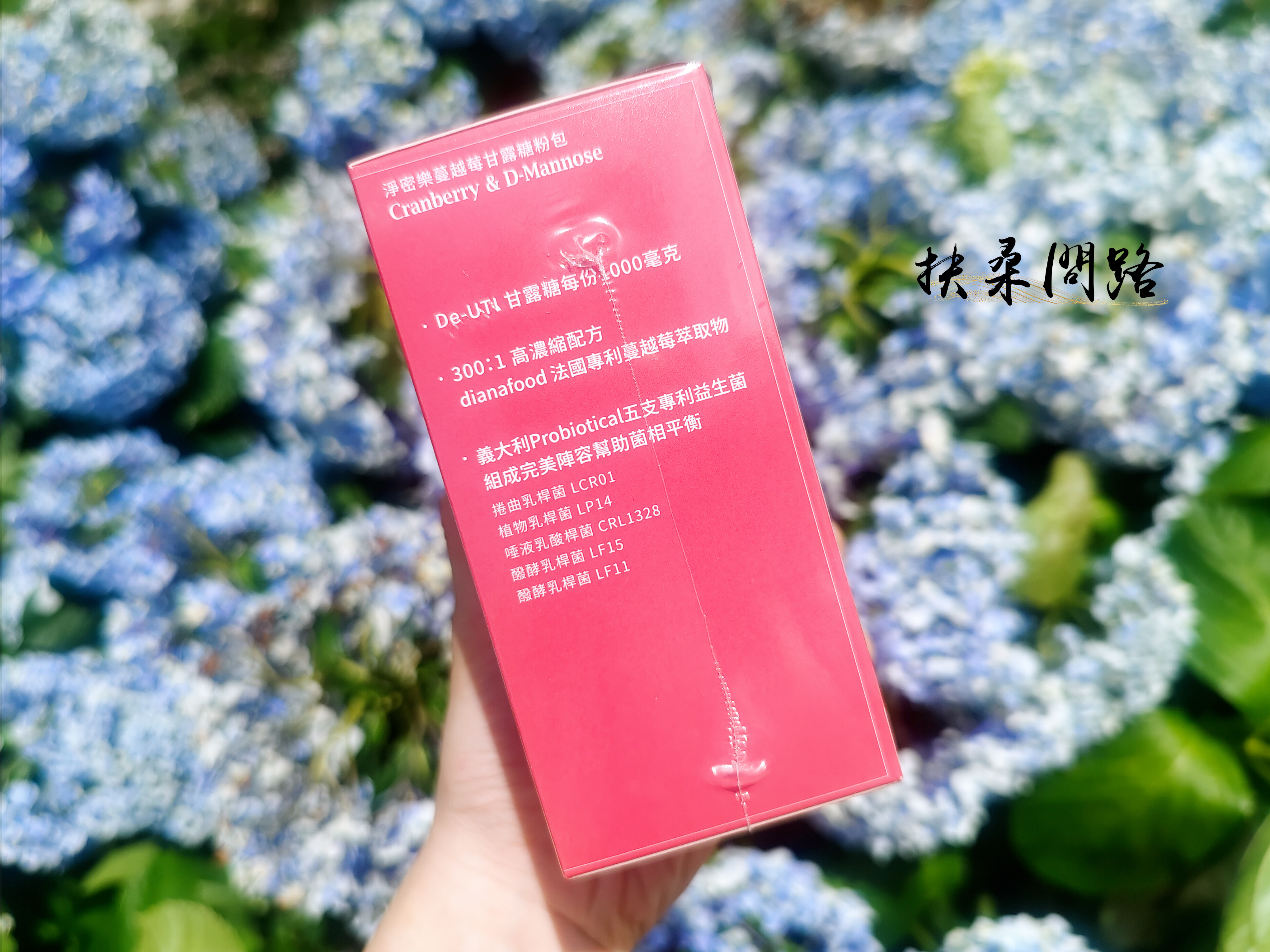 大研生醫《甘露糖蔓越莓益生菌》｜私密保養從日常做起｜蔓越莓益生菌PTT、Dcard推薦4.jpg