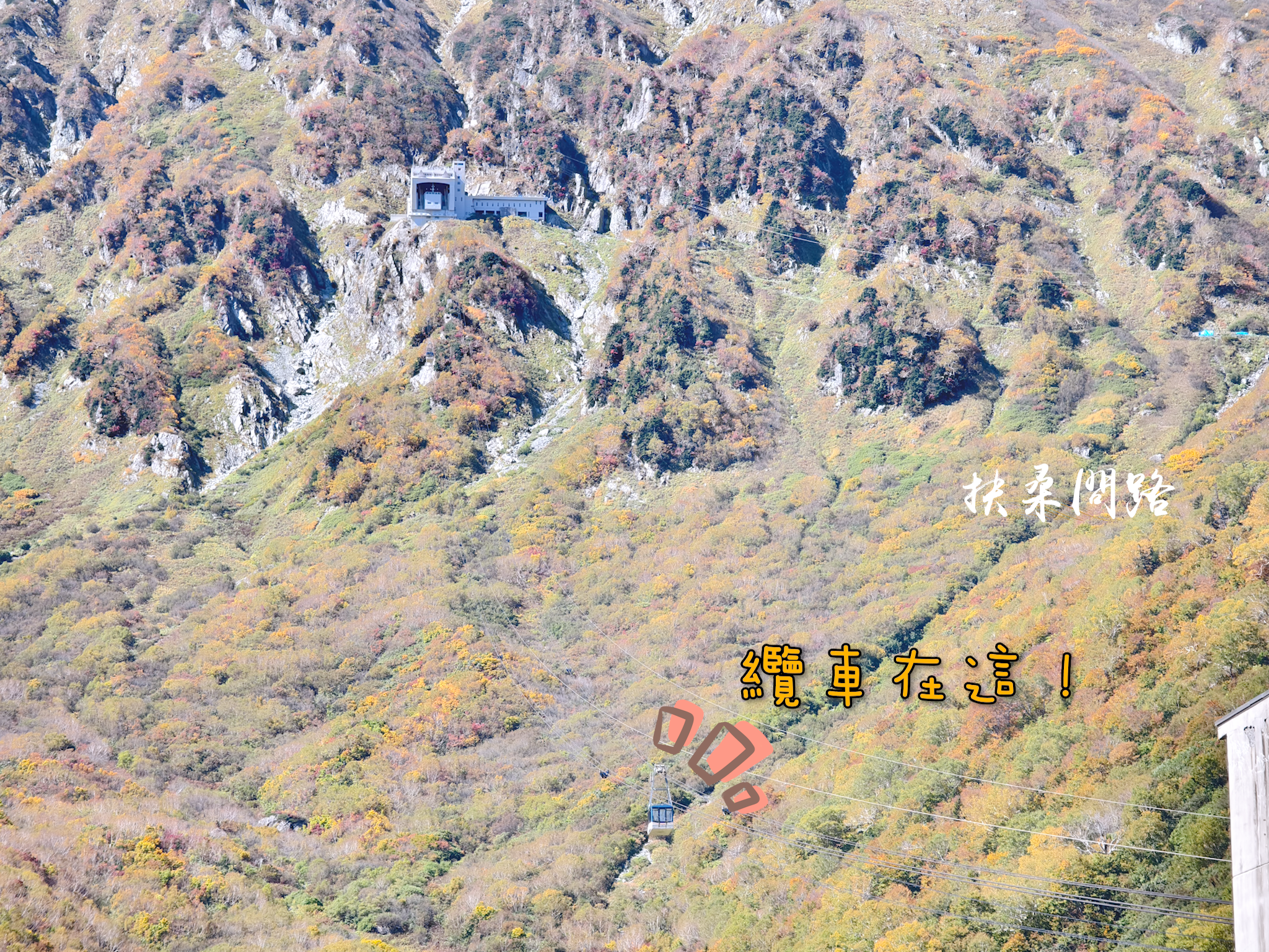 日本北陸五日遊｜旅行社跟團心得｜名古屋、立山黑部、合掌村、飛驒高山、松本城33.png