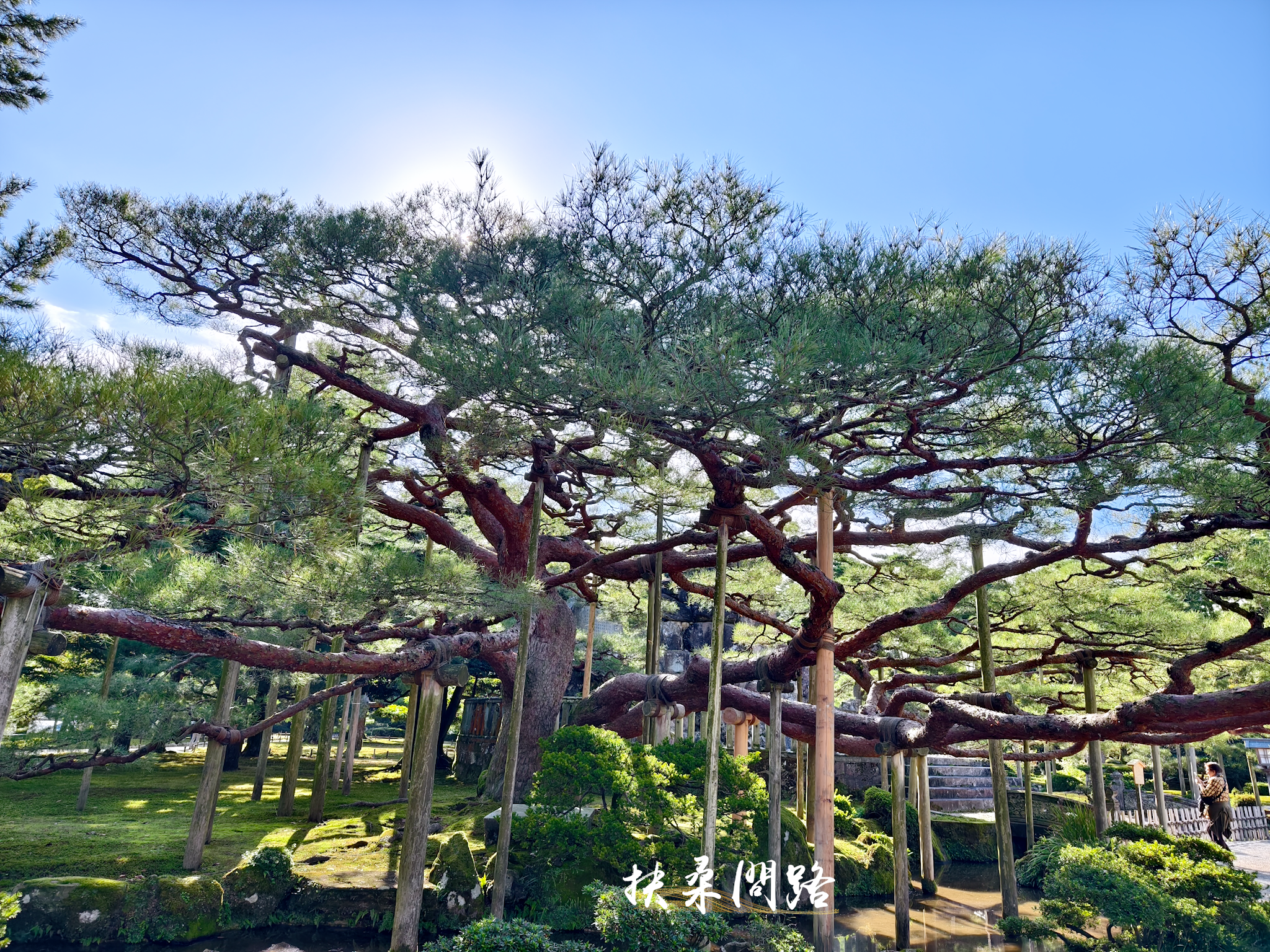 日本北陸五日遊｜旅行社跟團心得｜名古屋、立山黑部、合掌村、飛驒高山、松本城61.png