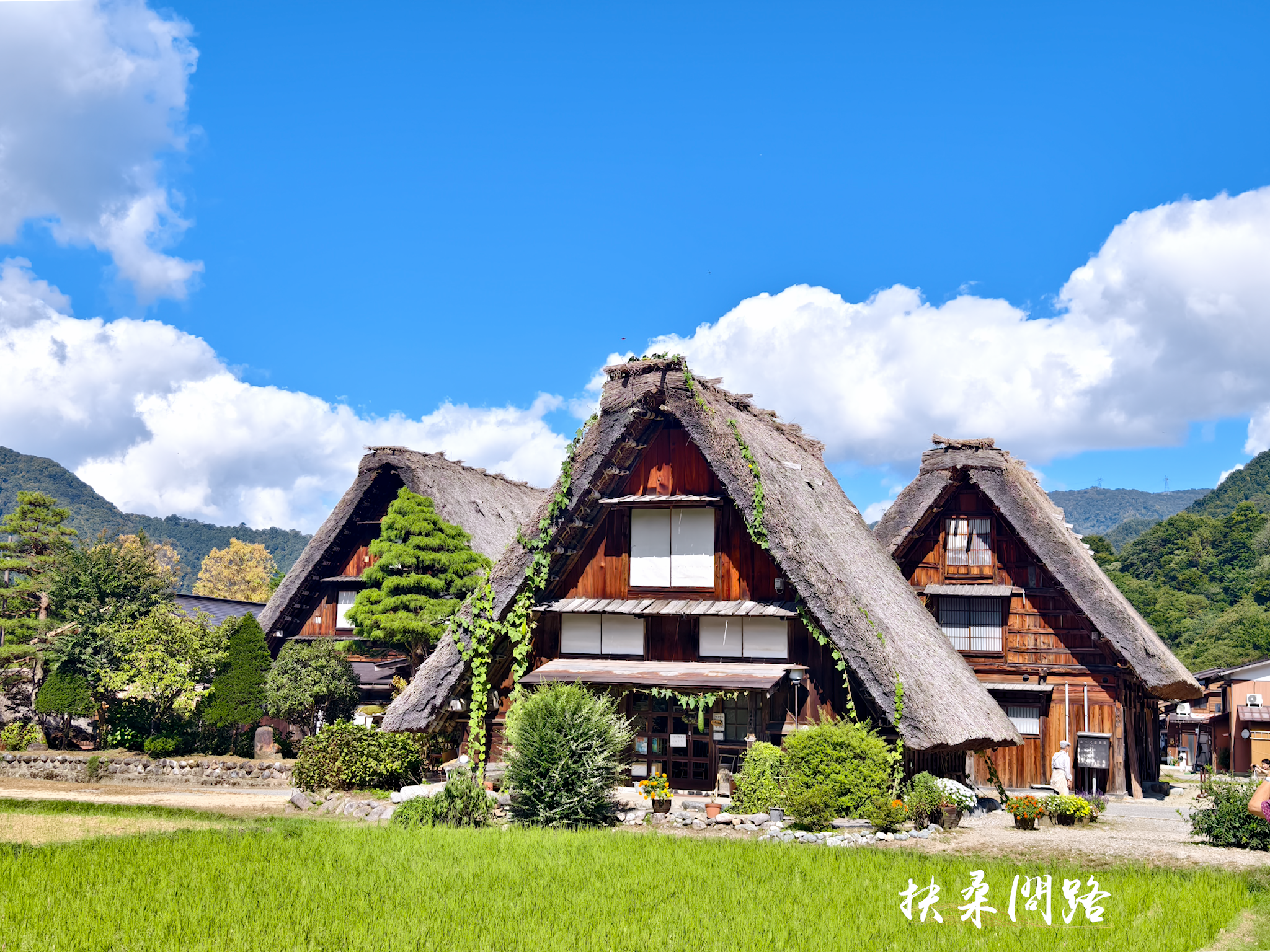 日本北陸五日遊｜旅行社跟團心得｜名古屋、立山黑部、合掌村、飛驒高山、松本城69.png
