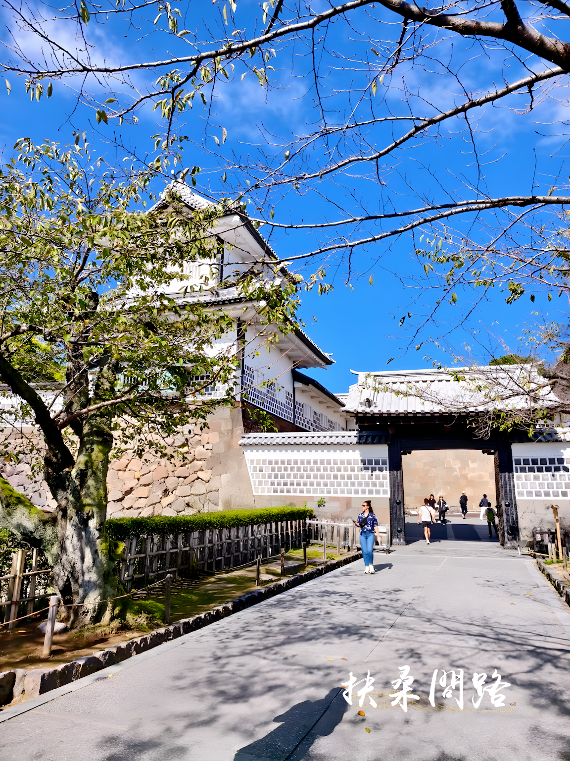 日本北陸五日遊｜旅行社跟團心得｜名古屋、立山黑部、合掌村、飛驒高山、松本城63.png
