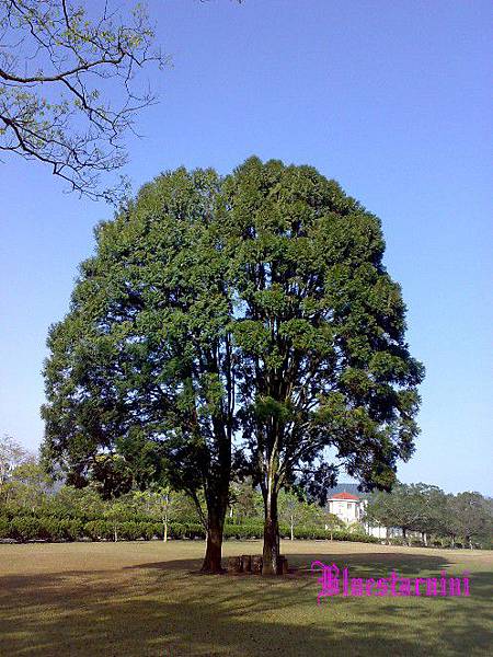 三育基督書院4.jpg