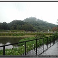 桃園大溪《慈湖》2.jpg