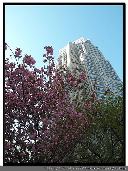 東京《東京都廳》日 3.jpg