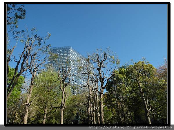 東京《新宿中央公園》3.jpg