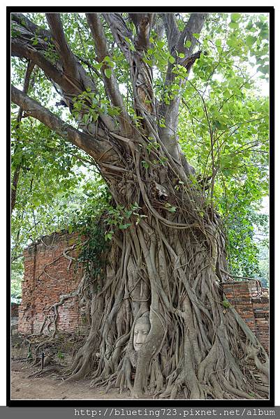 泰國大城府《Ayutthaya大城》瑪哈泰寺WAT MAHATHAT 2.jpg