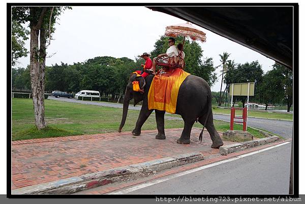 泰國大城府《Ayutthaya大城》騎大象2.jpg