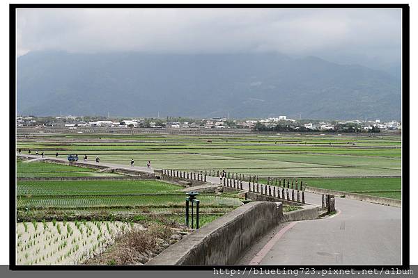 台東池上《天堂路》3.jpg