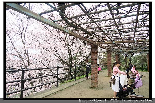 九州福岡《西公園》7_東側展望台.jpg