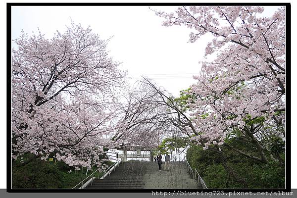 九州福岡《西公園》光雲神社3.jpg