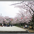 九州福岡《西公園》光雲神社4.jpg