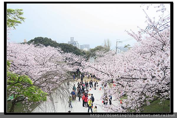 九州福岡《西公園》光雲神社5.jpg