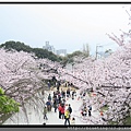 九州福岡《西公園》光雲神社5.jpg