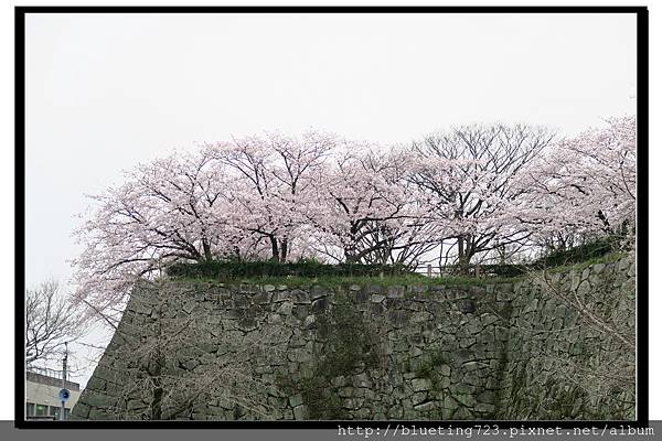 九州福岡《舞鶴公園》6.jpg