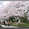 九州福岡《舞鶴公園》7.jpg