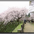 九州福岡《舞鶴公園》10_福岡城跡.jpg