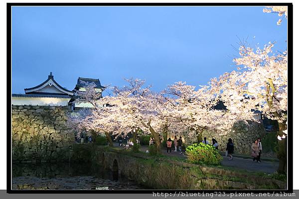 九州福岡《舞鶴公園》19.jpg