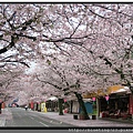 九州佐賀《祐德稻荷神社》表參道3.jpg